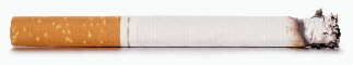sb10065294n-001